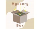 Mystery boxy