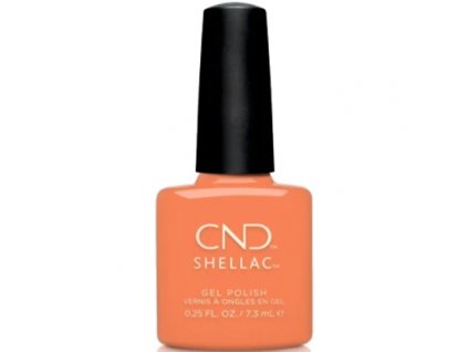 11166 cnd shellac catch of the day 7 3 ml