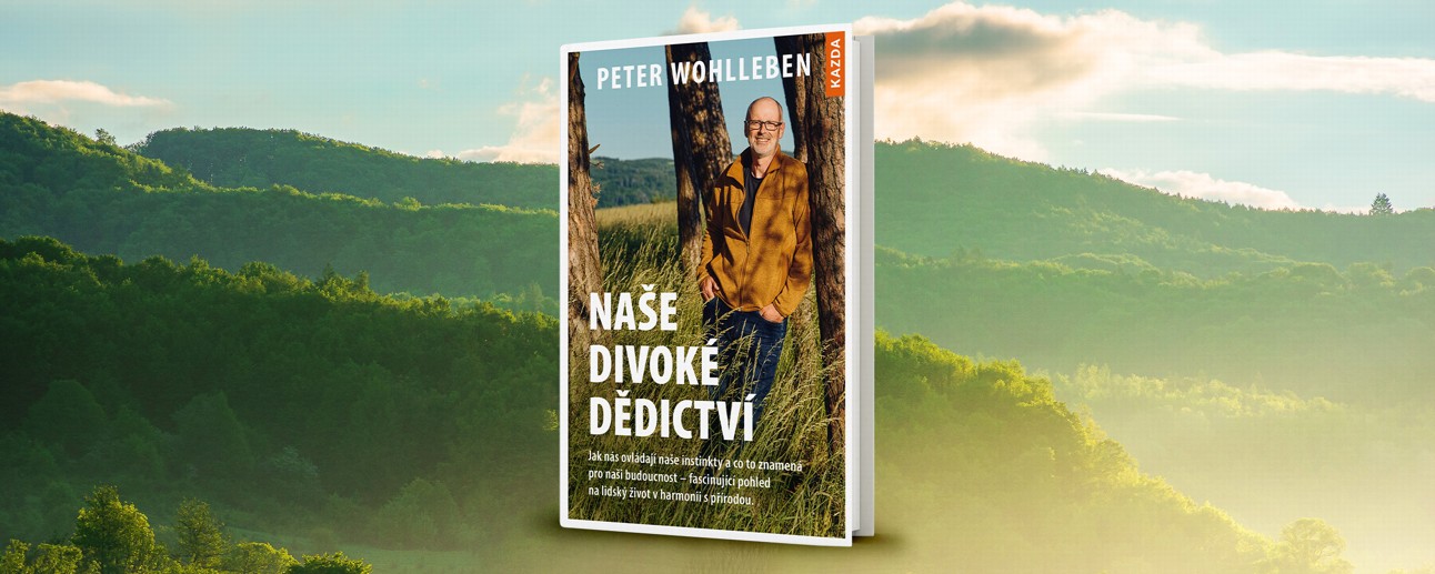 Nová kniha Petera Wohllebena