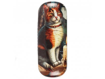 pouzdro futrál na brýle kočka s kočkou kočičí s kočkami svíčka Lisa Parker