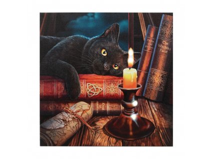obraz kočka s kočkou kočičí s kočkami kniha svíčka svítící plátno lisa parker
