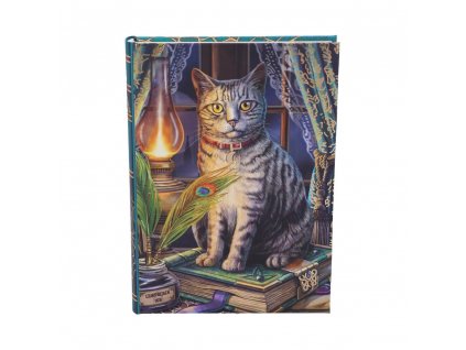 diář notes zápisník kočka s kočkou kočičí s kočkami magie lisa parker