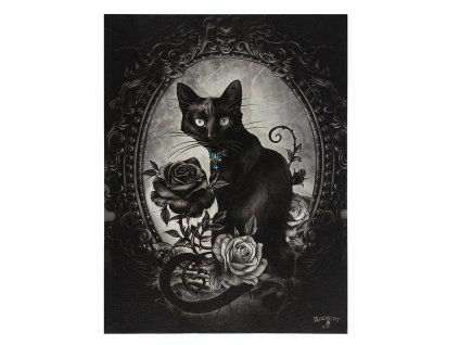 obraz kočka s kočkou kočičí gotický