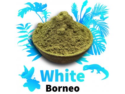 White Borneo 1024x1024 a