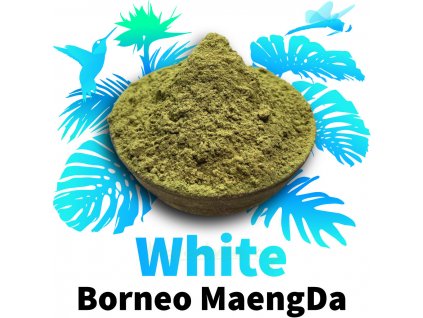 White Borneo MaengDa 1024x1024 a