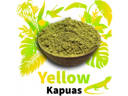 Yellow Kapuas 1024x1024 a
