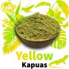 Yellow Kapuas 1024x1024 a