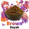 Brown Dayak 1024x1024 a