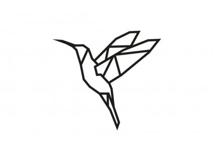 1polygon kolibrik1