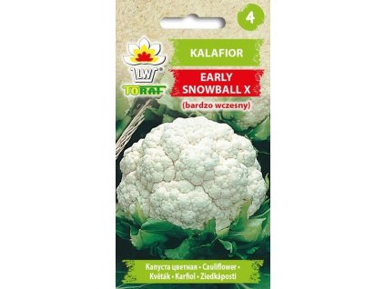 kalafior eearly snowball x f