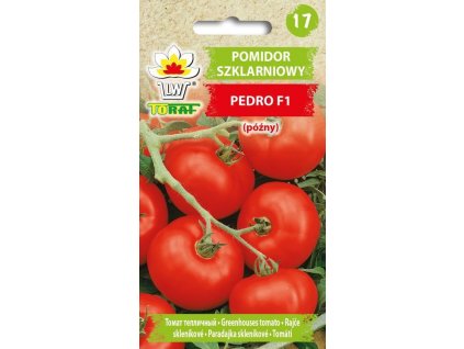 pomidor szklarniowy pedro f1 pozny f