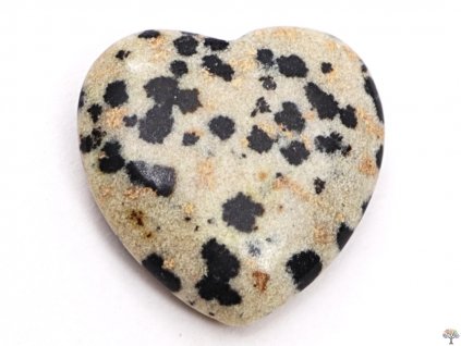 Srdce Jaspis dalmatin 20x20 mm - Jaspisové srdce #25
