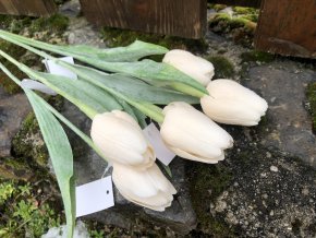 Umělé tulipány krémové 6 ks