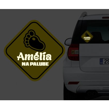 amelia2