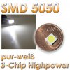 SMD-LED5050WS