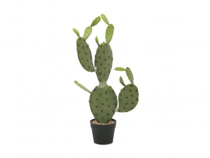 Kaktus Nopal, 75cm