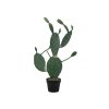 Kaktus Nopal, 76cm