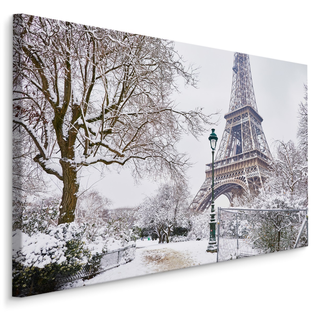 Plátno Pohled Na Eiffelovu Věž V Zimě Varianta: 40x30