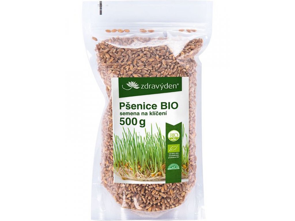 Pšenice BIO – semena na klíčení 500g