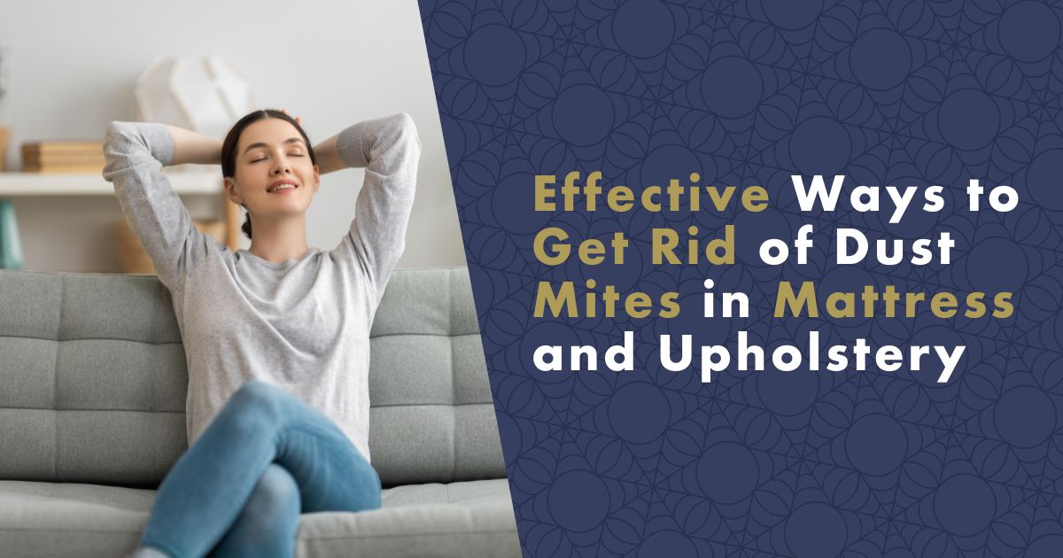 Effective Ways to Get Rid of Dust Mites in Mattress and Upholstery
