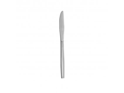 Nerezový jídelní nůž 22 cm