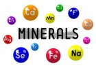 Minerály a stopové prvky