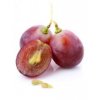 grape seed extract proanthocyanidins