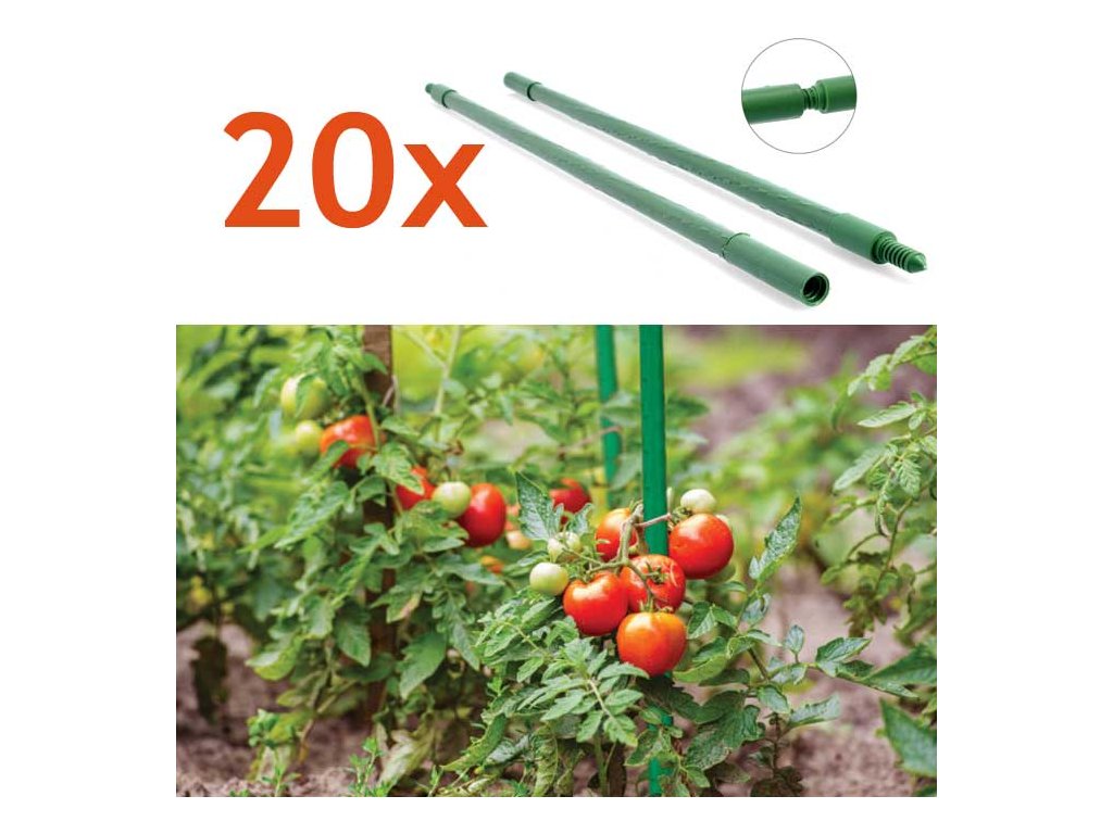 tycky na paradajky 20x