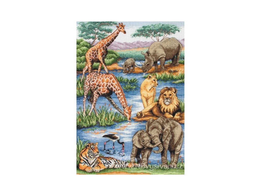 AM5678000-01212 African Wildlife