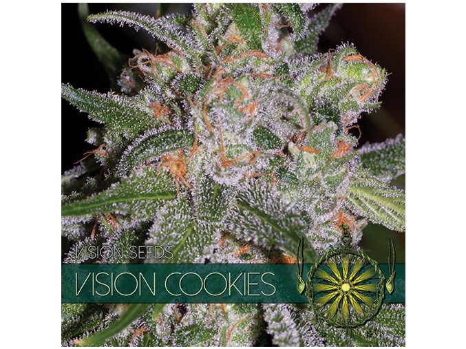 vision seeds cookies500x500