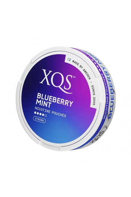 XQS Blueberry Mint nikotinove sacky