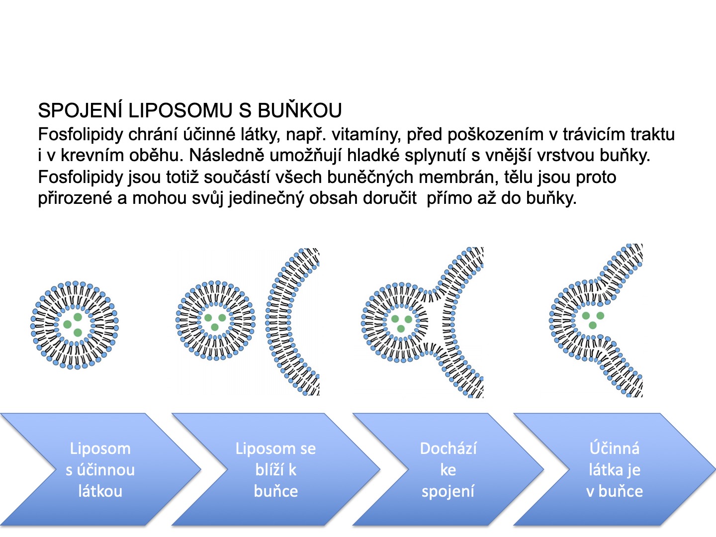Nupreme Liposomal Vitamín D3 + K2 30 kapslí Obrázek