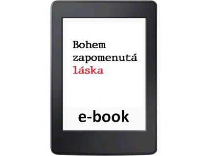 e book BZL