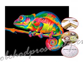 Malování podle čísel chameleon 30x40 cm