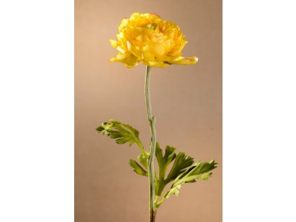 F260 Y Ranunculus yellow Krásný pryskyřník 51 cm žlutý od Paramiit