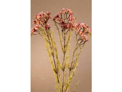 F249 P Dry Wax Flower růžové luční kvítí 78 cm od Paramit.