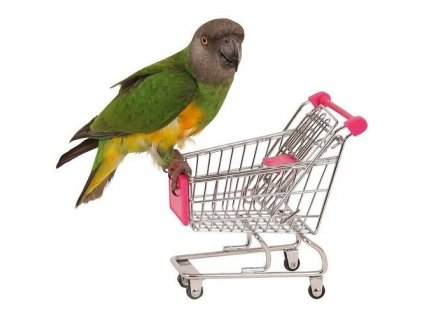 Aktives Spielzeug für Papageien und Vögel Einkaufswagen.