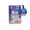 Kapsička Brit Premium Cat Delicate Fillets in Jelly with Salmon 85 g