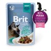 Kapsička Brit Premium Cat Delicate Fillets in Gravy with Beef 85 g