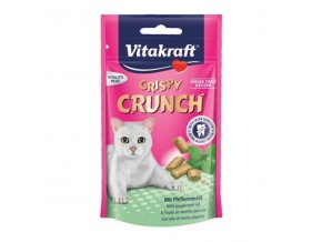 Vitakraft Cat Crispy Crunch dental 60g