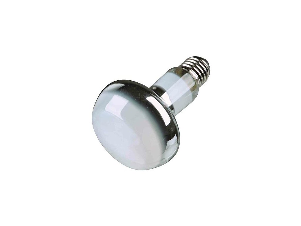 Basking Spot-Lamp 100 W (RP 2,10 Kč)