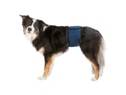 Břišní pás na podložky pro psa samce, tmavě modrý