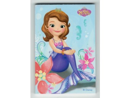 Bloček Disney mini - Princezna Sofie