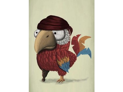 Pohlednice Mědvěd Wrr - Papoušek pirát