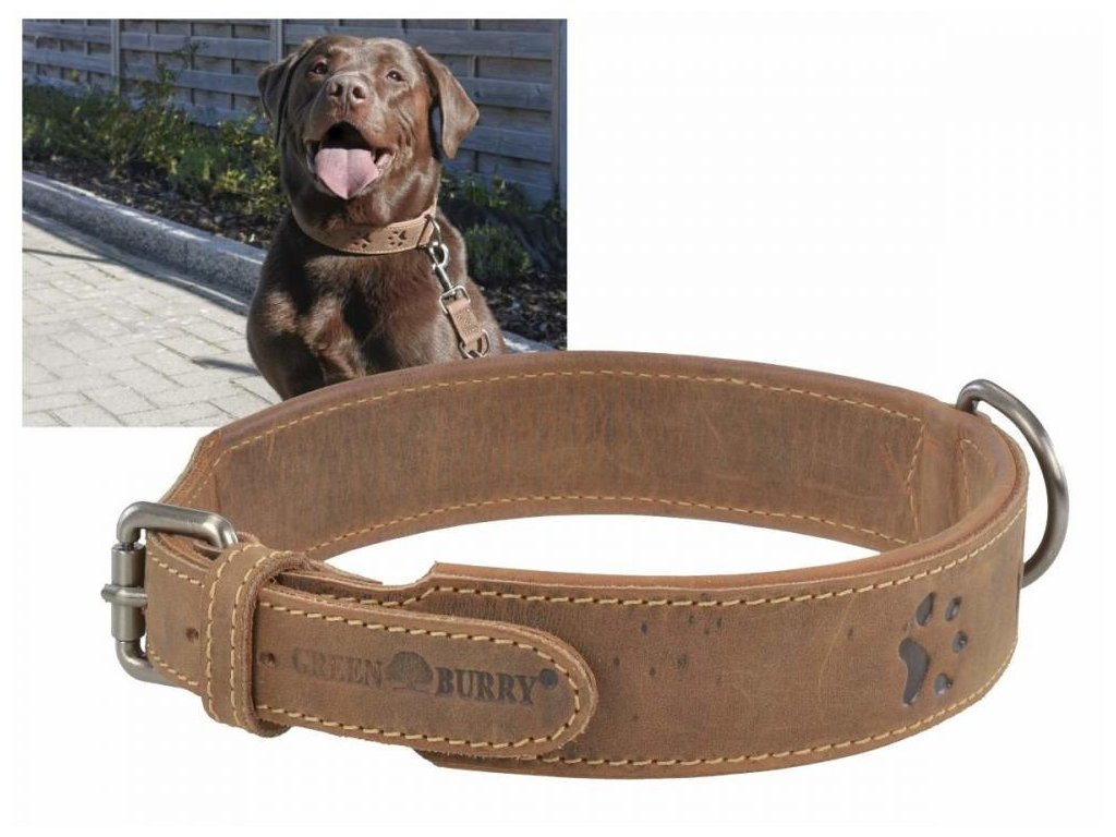 GREENBURRY Dog Neckholder 51-58cm - kožený obojok