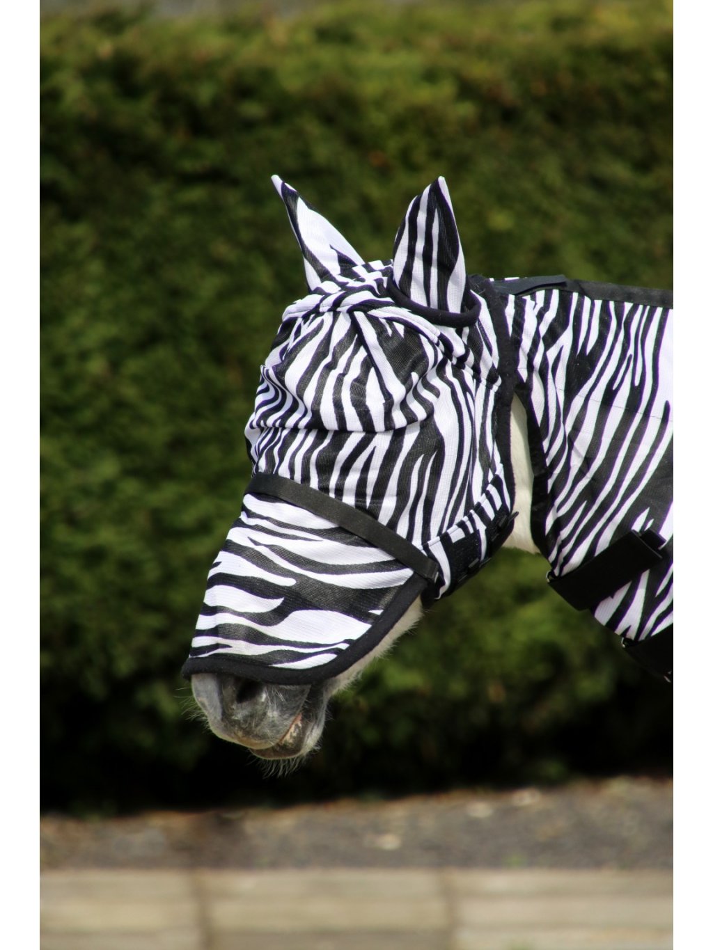 Maska proti hmyzu Zebra s ochranou uší a nozder