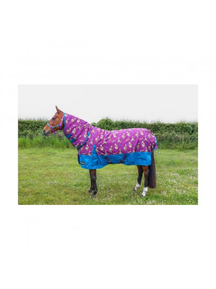 PR 39507 39508 StormX Original 200 Combi Turnout Rug Thelwell Collection Pony Friends Lifestyle 01