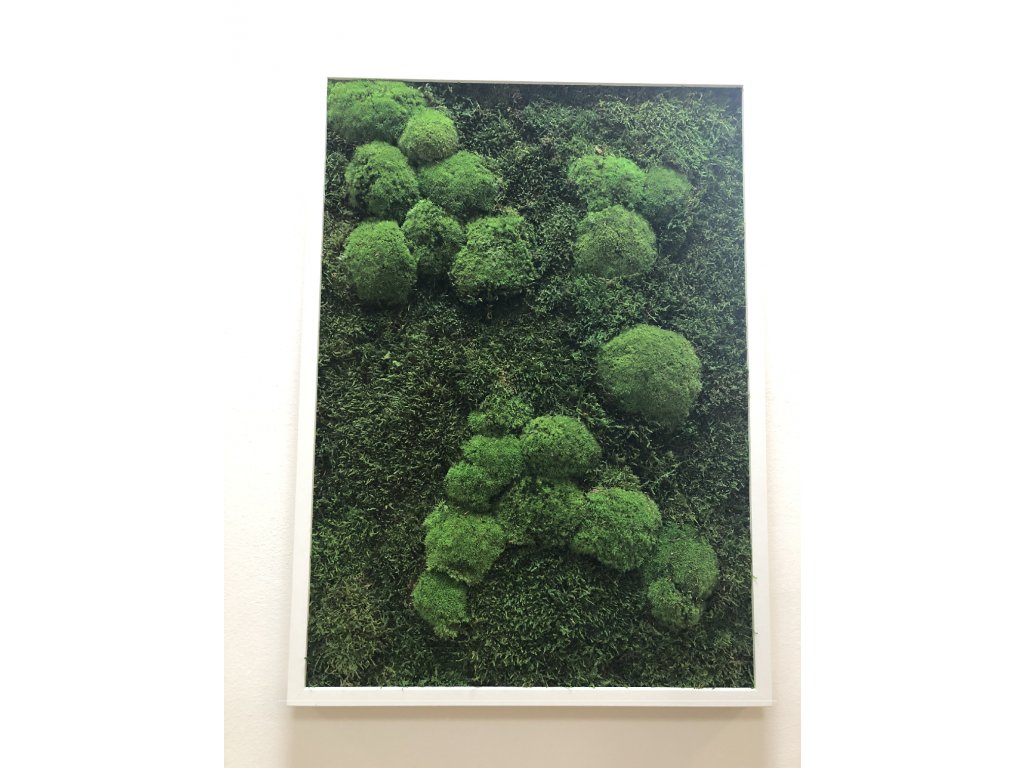 Mechový obraz 30x40 cm - mix bochánky a plochý mech