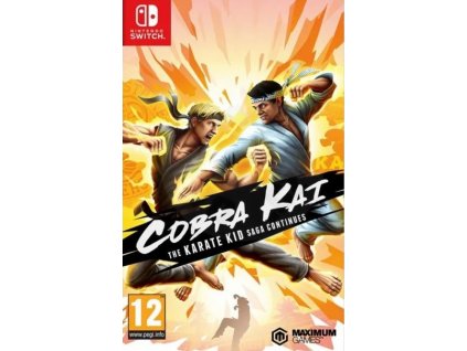 Switch Cobra Kai The Karate Kid Saga Continues