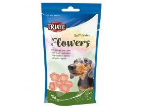 trixie flowers